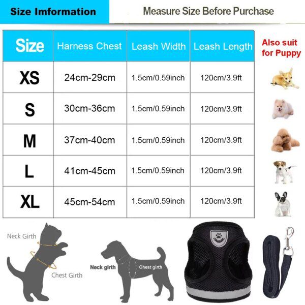Harnais chat et laisse réglables pour chat, vêtements