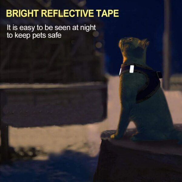 Harnais chat et laisse réglables pour chat, vêtements