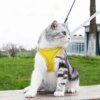 96183-cab531.jpg Harnais Chat & Petit Chien – Gilet Réglable avec Laisse