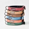 Collier en Cuir Rembourré pour Chien – Confort Premium