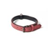 Collier en Cuir Rembourré pour Chien – Confort Premium