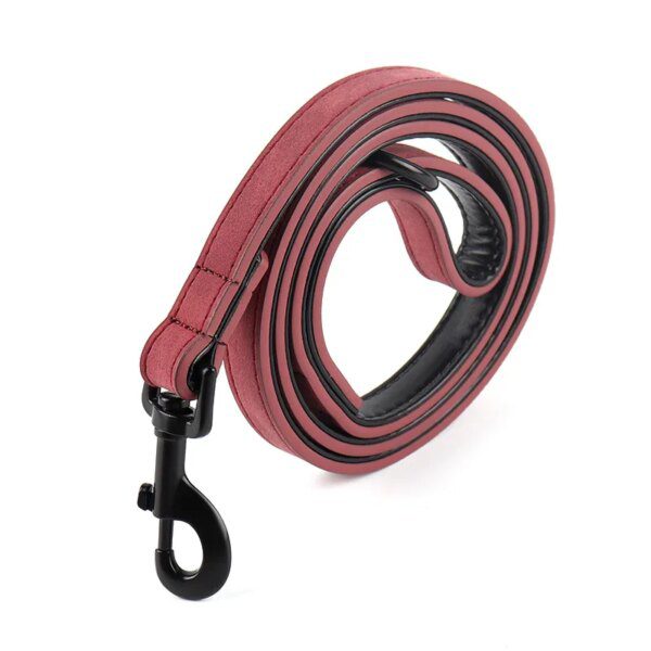 Collier en Cuir Rembourré pour Chien – Confort Premium