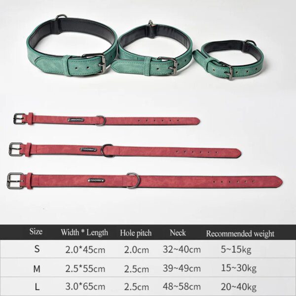 Collier en Cuir Rembourré pour Chien – Confort Premium