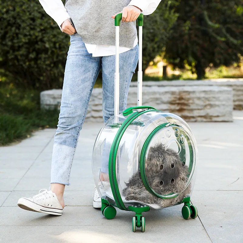 Sac de Transport Pliable pour Chat & Petit Chien – Confort