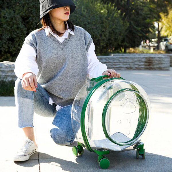 sac de transport pour chat Valise transparente à roulettes pour animal de compagnie