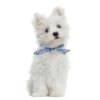 Bandana chien en coton à pois – Carré lavable & style doux