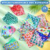 Bandana chien triangulaire – Écharpe festive & estivale