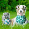 Bandana chien triangulaire – Écharpe festive & estivale