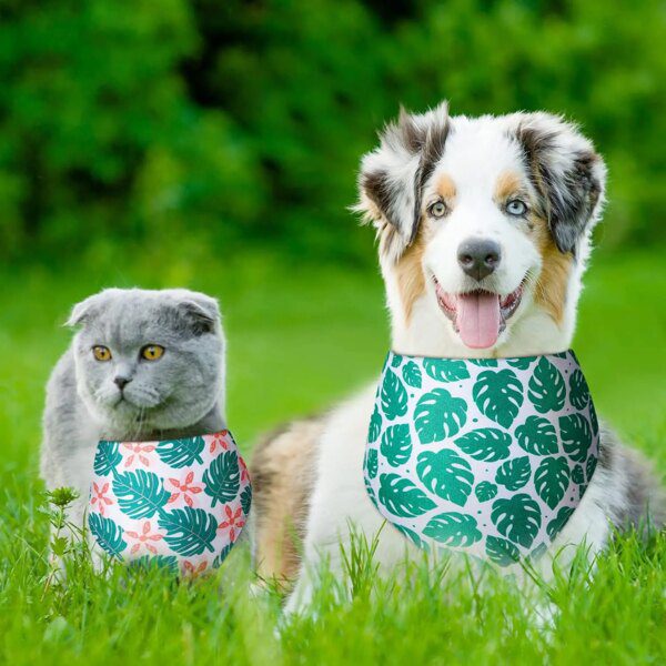 Bandana chien triangulaire – Écharpe festive & estivale