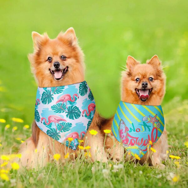 Bandana chien triangulaire – Écharpe festive & estivale