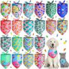 Bandana chien triangulaire – Écharpe festive & estivale