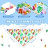 Bandana chien triangulaire – Écharpe festive & estivale