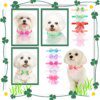 Nœud papillon chien en dentelle – Accessoires mode élégants