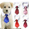 Cravate en Faux Collier pour Chien & Chat – Nœud Papillon Smoking Uni