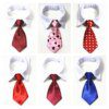 Cravate en Faux Collier pour Chien & Chat – Nœud Papillon Smoking Uni