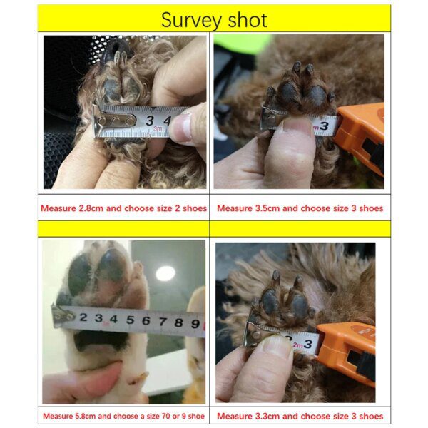 Chaussures d’Été Respirantes pour Chien – Sandales Antidérapantes