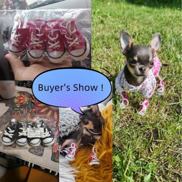 Baskets Cowboy en toile imperméables et antidérapantes pour chien 🐶