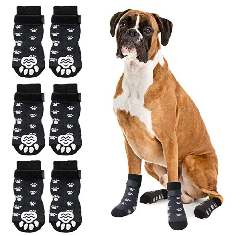 Comment savoir si un Chaussure pour chien correspond vraiment a son animal ? - Chaussure pour chien