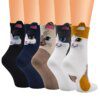 chaussette chat en coton pour femmes, chaussettes colorées
