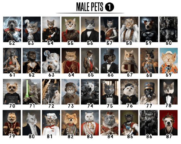 tableau chat Affiche personnalisée avec chat, princesse, animaux de compagnie, Vintage