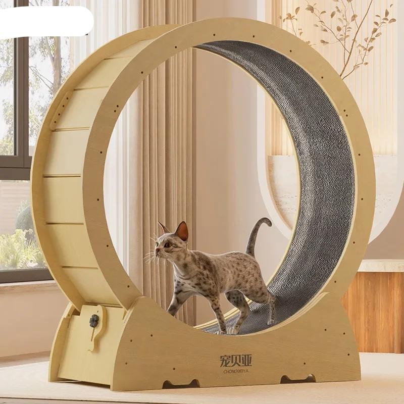 Pas cher : Autre chat