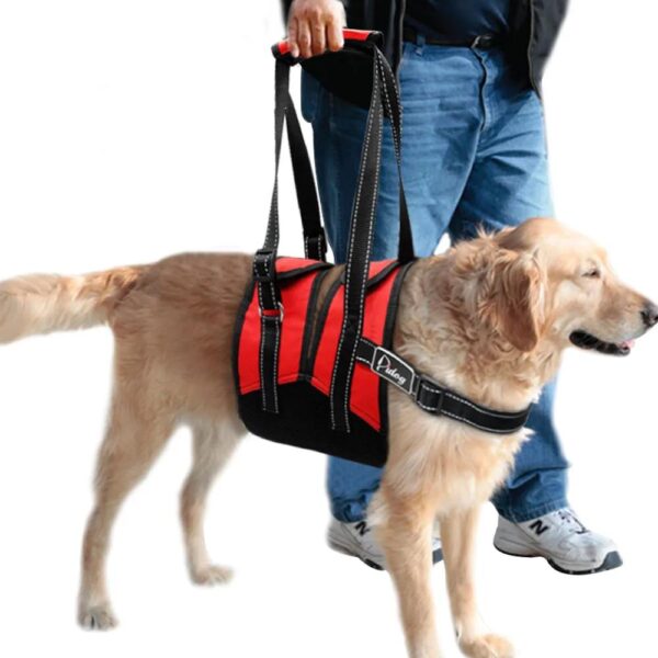 75382-cf11e5.jpeg 75382-cf11e5.jpeg