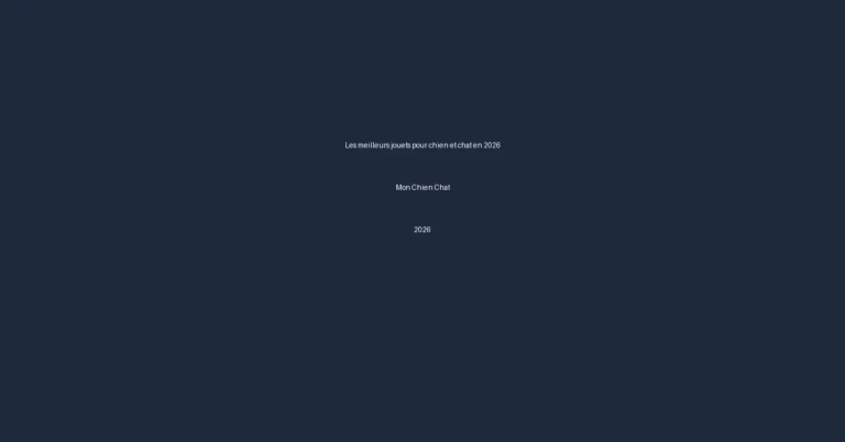 seo 202606010242 187