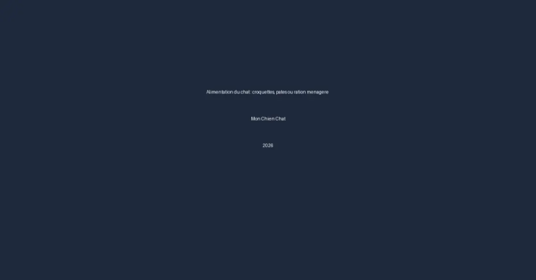 seo 202606010243 276