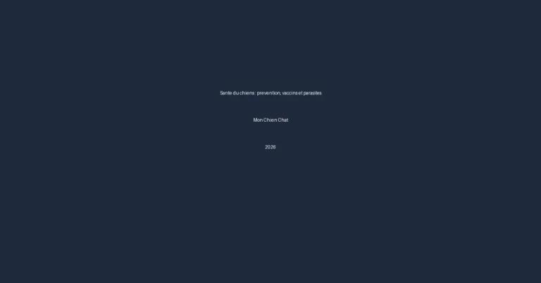 seo 202606010243 556