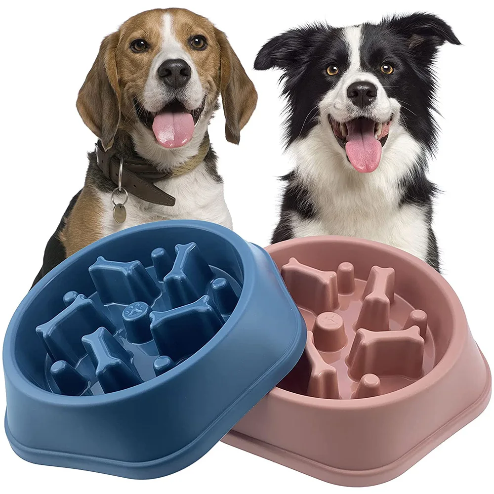 Gamelle anti-glouton intelligente pour chien