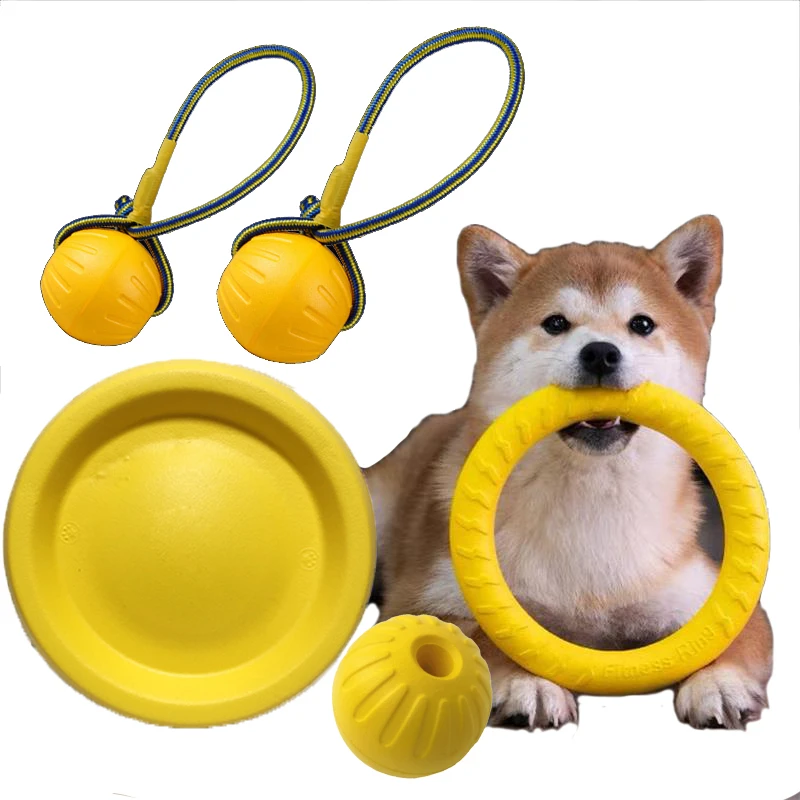 Balle Disque Jouet Chien Morsure