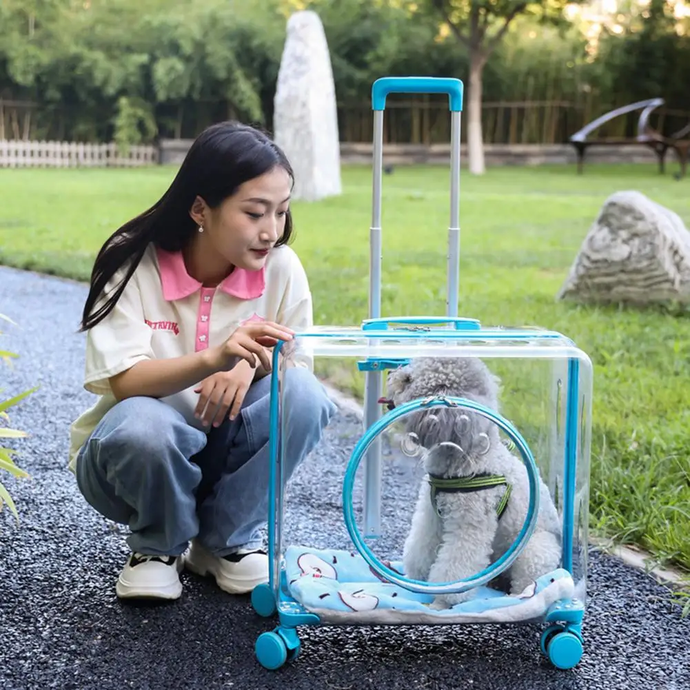Chariot capsule transparent chien chat