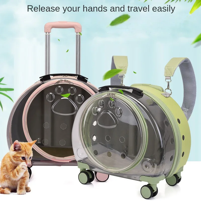 Valise transparente animaux roulettes 2027