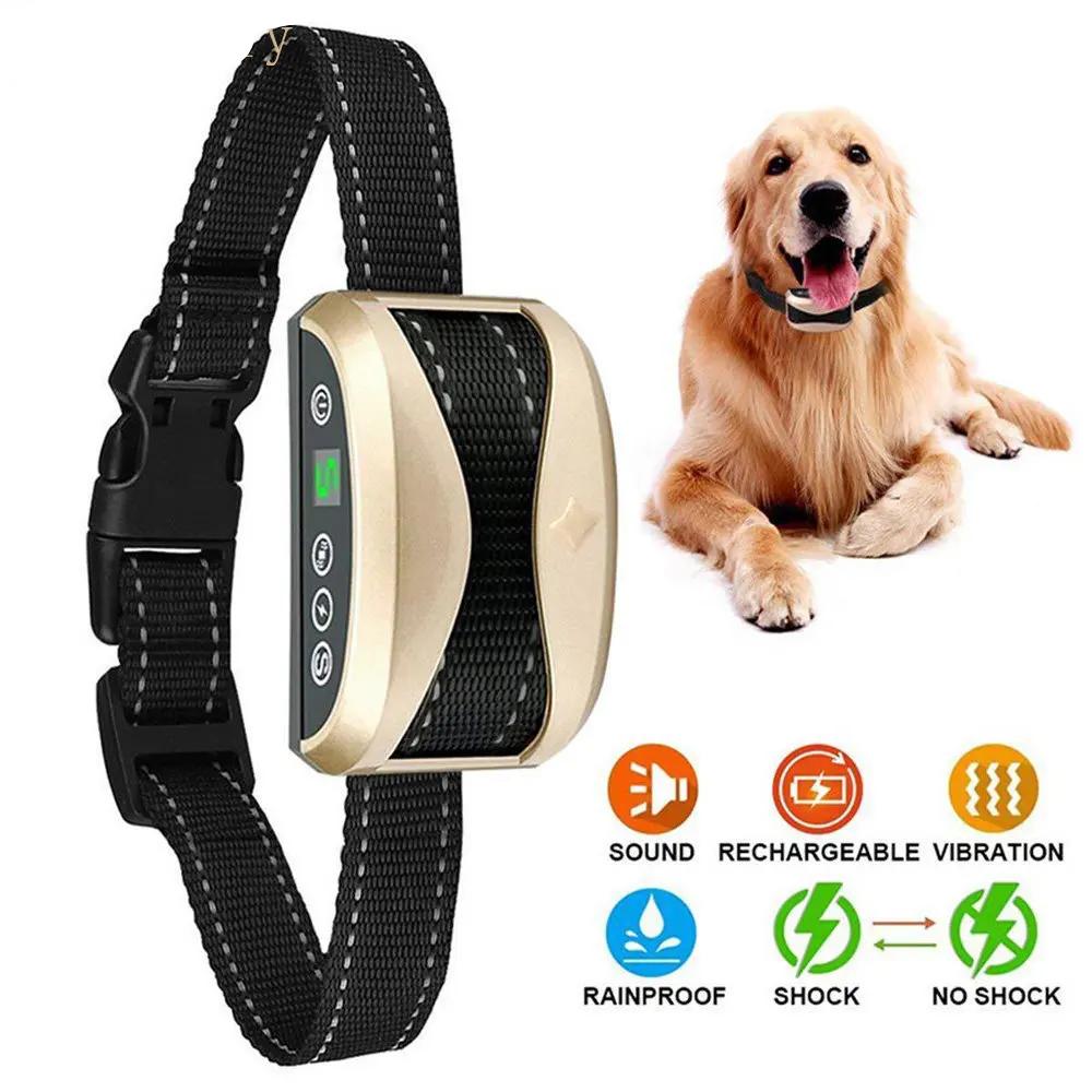 2. GPS Tracker Chien