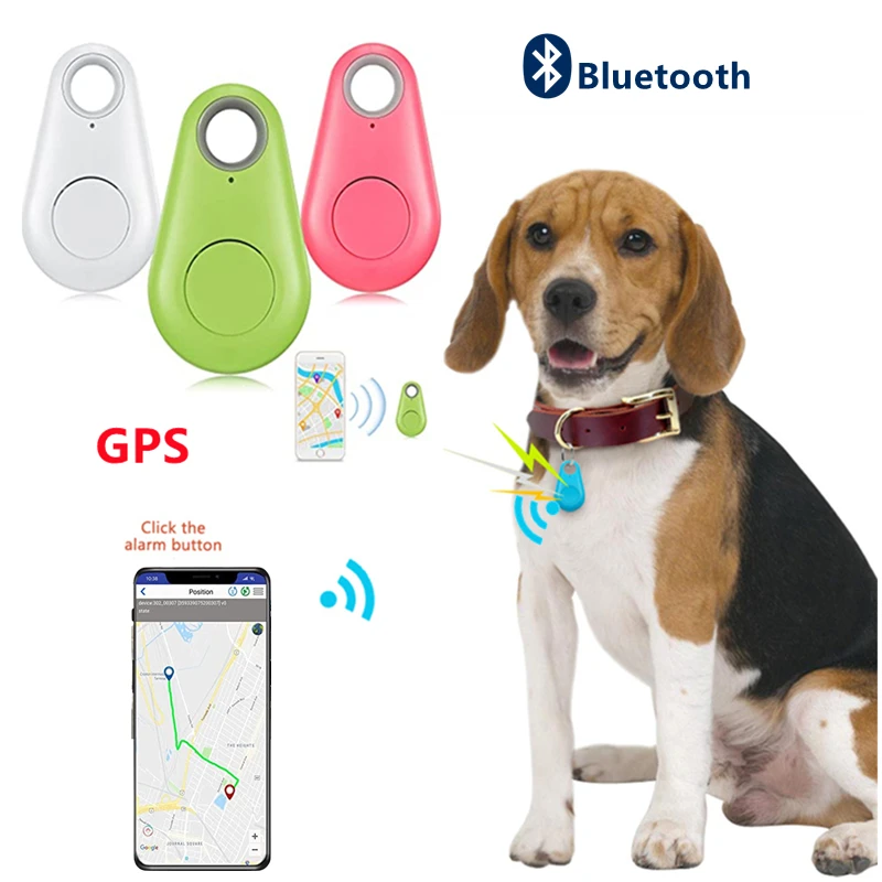 6. GPS Traceur Collier Intelligent Chien